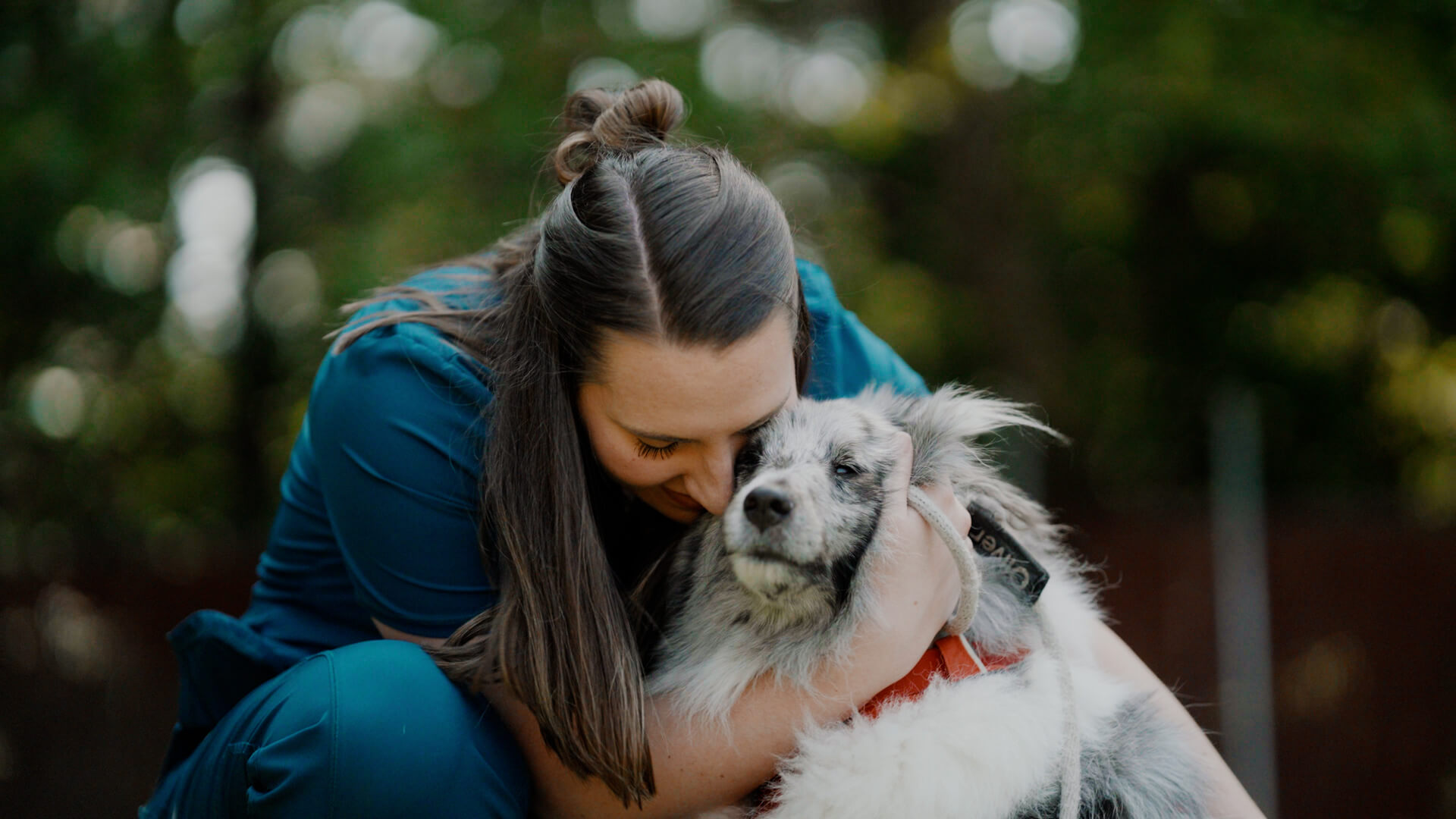 tuscan_ridge_animal_hospital_-_first_impression_-_thumbnail_04