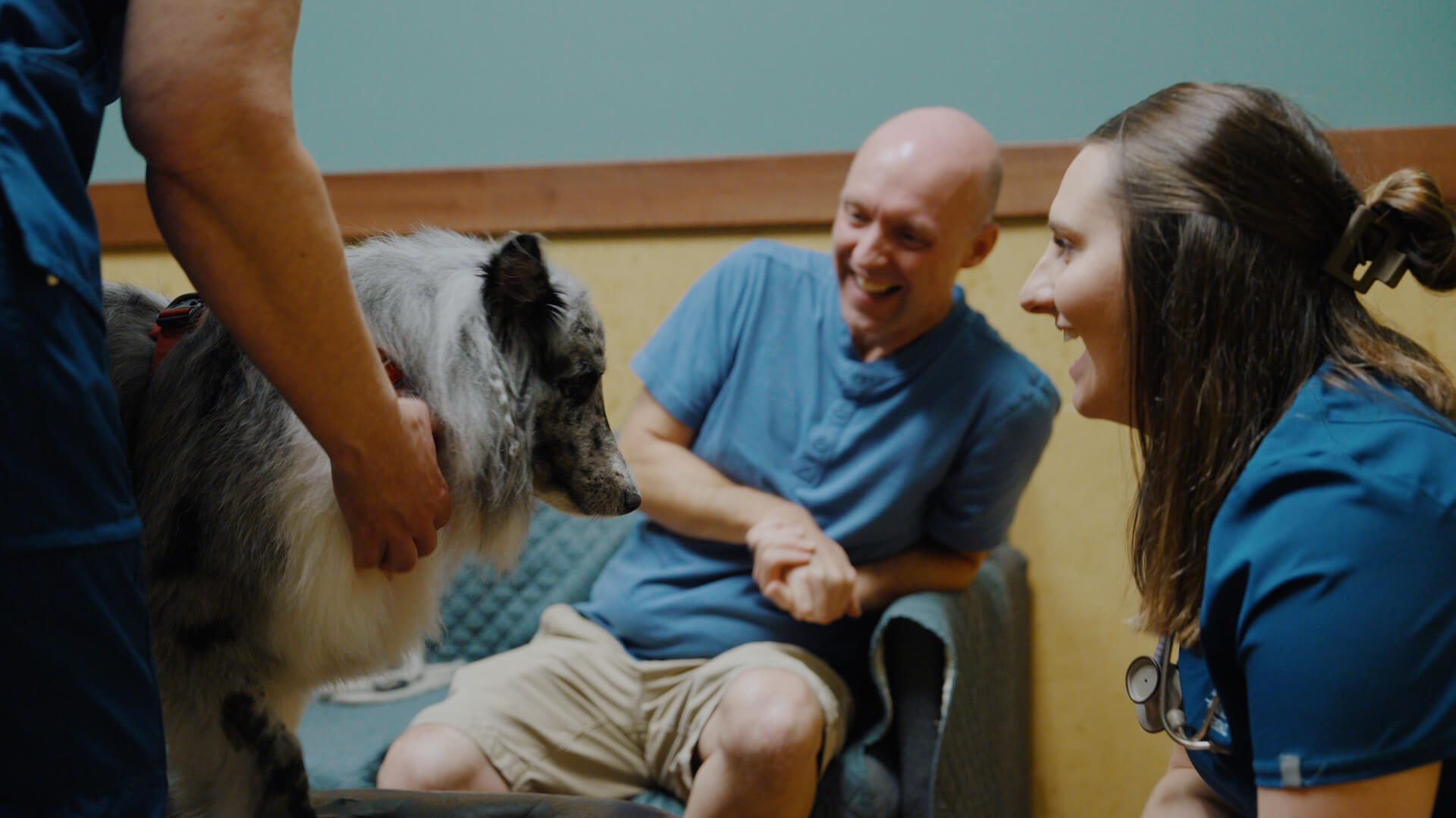 tuscan_ridge_animal_hospital_-_first_impression_-_thumbnail_10